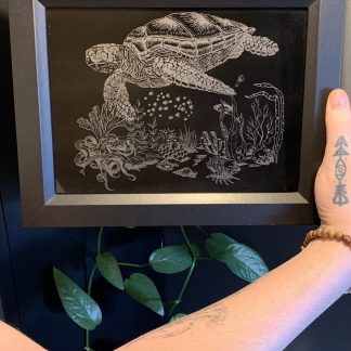 Turtle Art On Frame 8x6